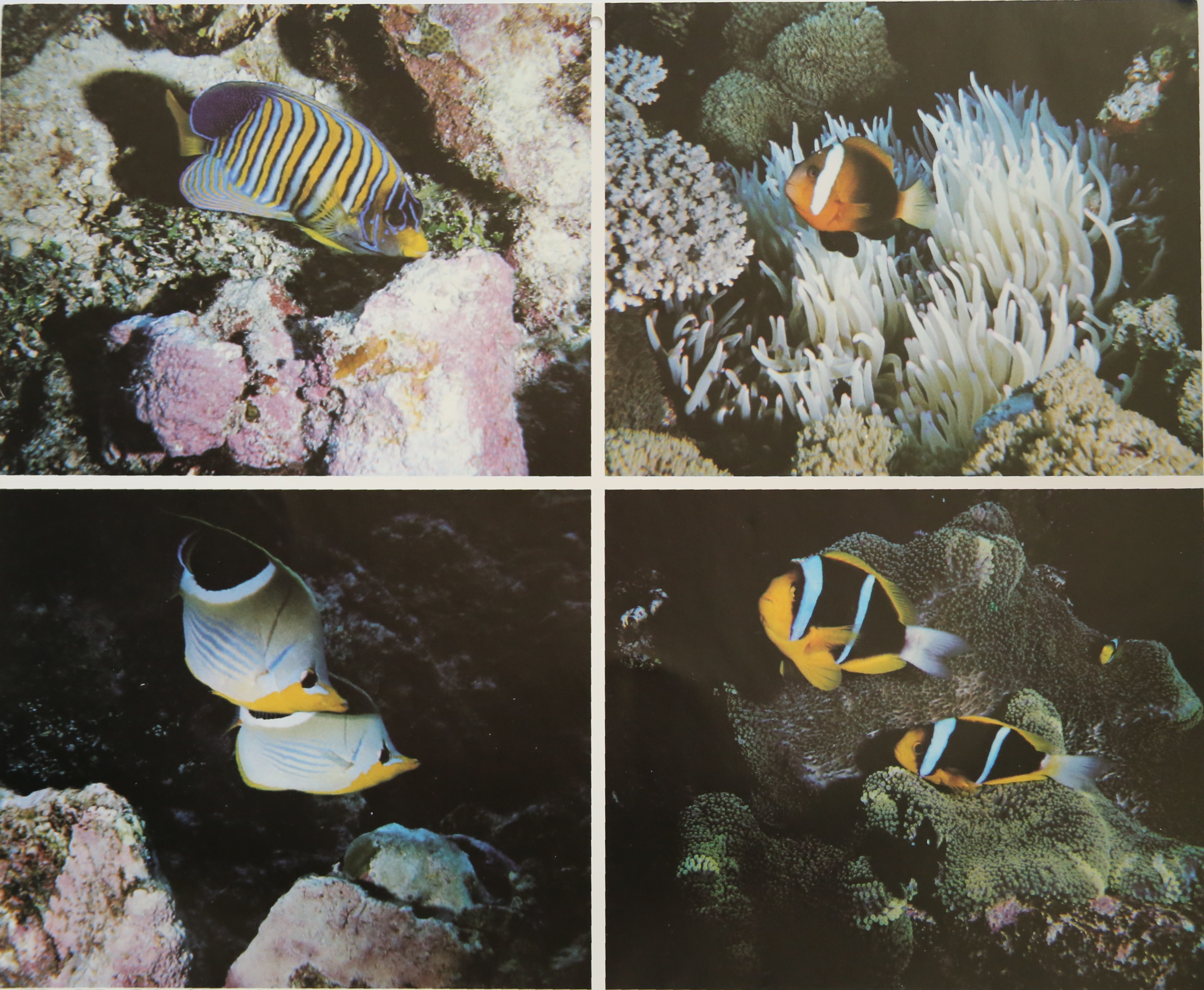 1979-kwajalein-calendar-december
