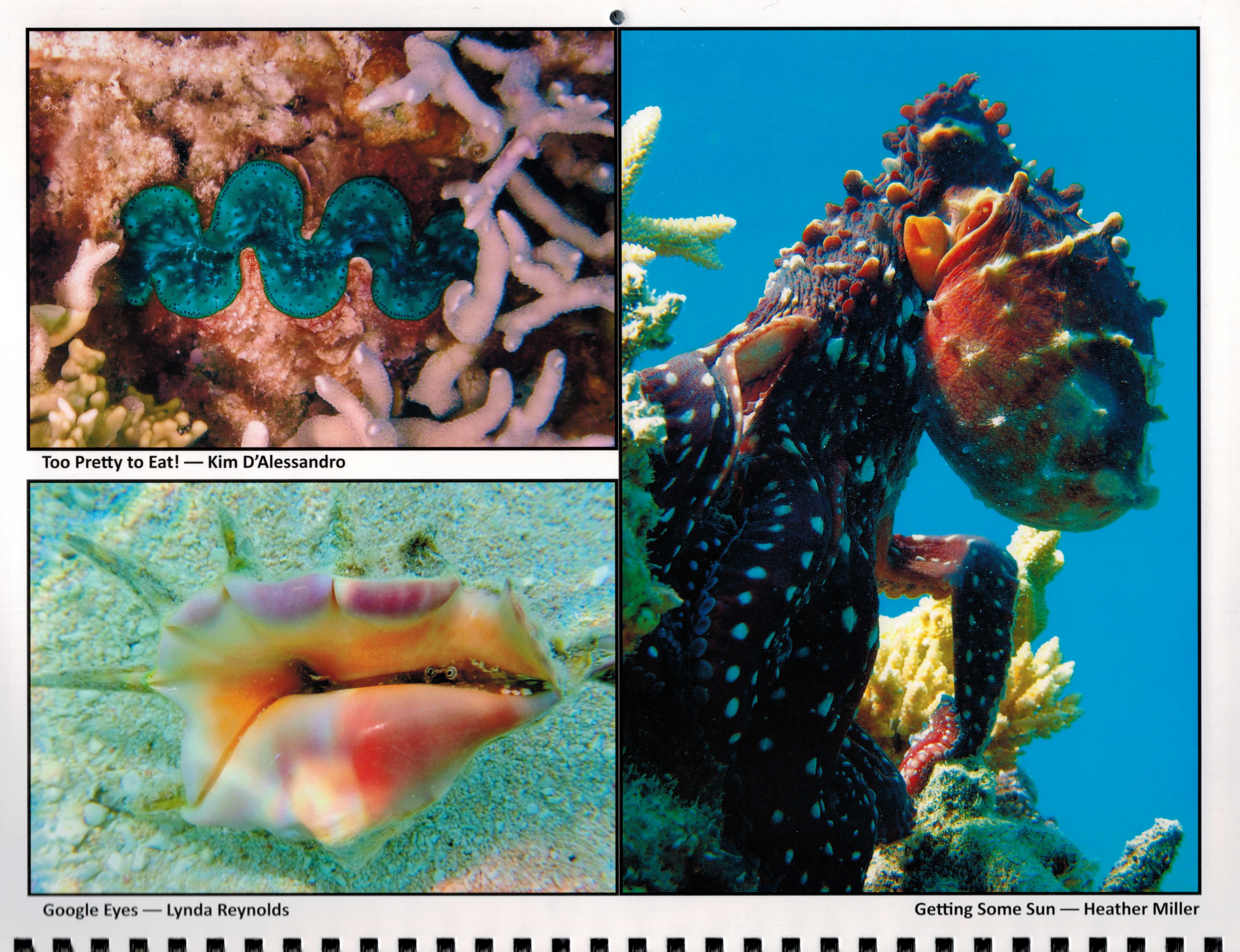 2017 Kwajalein Calendar June