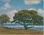 Click to view larger image of Back Cover