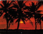 Click to view larger image of Back Cover