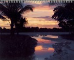 Click to view larger image of Back Cover