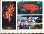 Click to view larger image of July
